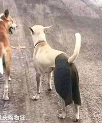 �����Ӵ���������ٿ㡱