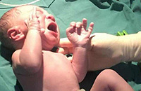 С���ӽ����ǣ���������˹���Ĥ��ȴ����