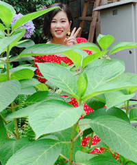 31������163��С������飬���²���ָ���ҵ