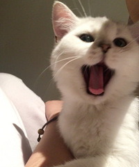 ι���ҵ�С����أ���