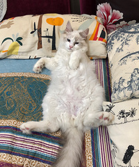 �ҼҲ�ż����������ȶ���