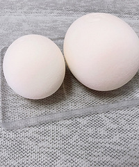 õױţֱ20Ԫһ2ֻ4-5