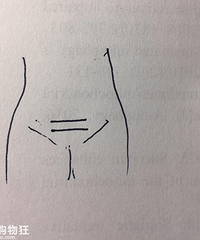 ��̥���ʸ�����������ɹɹ���ǵĵ��ڣ���һ���߻��������ߣ�