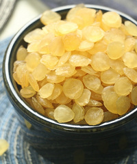 �������ϵ��ҽ���ѩ�ࡢ�����׵ȿ�����