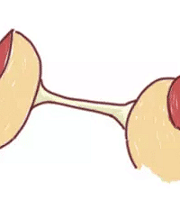 �����ؼ��������������ץס�����գ�