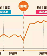 �����ؼ��������������ץס�����գ�