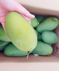 �Ź�������â��Ƥ��֭��ζ��ҧһ�ڹ�֭��˳����