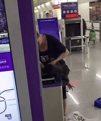大妈带活鸡进地铁站被劝阻现场杀鸡