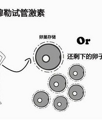 30��AMHֵ����Ϊ�ѳ���˥�����Ƕ�����AMHֵû��