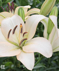 ����֮��Ӧ�ñ���ʹ�õ�4�ֶ������㻹������