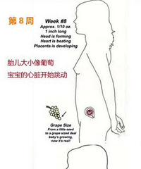 ����Ӫ������ʱ�����17-20��ά����D�͸�