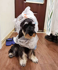 ��ʺ�ĸ��Ҹ��˸�������