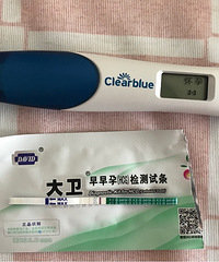 �ղ�����о�׷�˸�β�����ö�̥��ûӰ�죬����δ����һ��