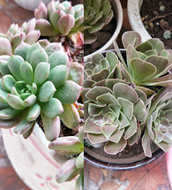 10��Ǯ����20�����