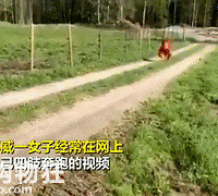 Ϊʲô�������˸е����£�