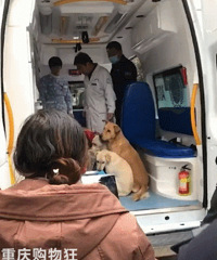 Ů�����ٲ������ϾȻ������������Ĺ���ȫ�������ϳ���