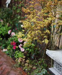 ɽ300ƽ󷿣128ƽ԰ճͣЩֲʺ