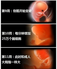 1-40��̥����������ͼ������7��ʱ�������������