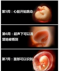 1-40��̥����������ͼ������7��ʱ�������������