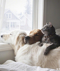 һ���˾���Ҫ��������