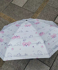 ��������յı���