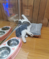������һ���¿�������ĵط���С���ѿ϶�ϲ��