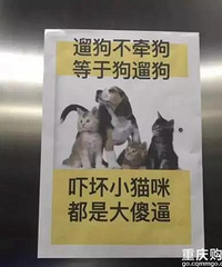 "我的狗很乖,不咬人",你信吗?