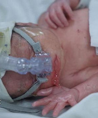 ���˼�����������30����ˮ����10�죬ĸ�������������ε�ѡ��