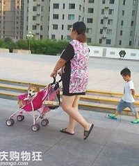 ����Ȧ�����ģ������޶����繷ϵ�й�����