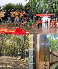 再见!沙南街1号