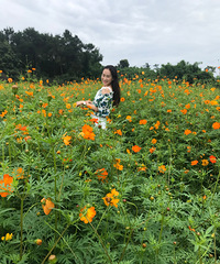 88��ĵ����������飬Ů��5�����