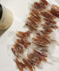 ���Է���˨���и�����������ã�����������