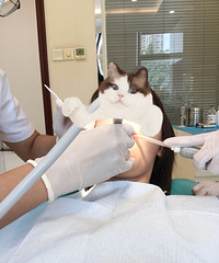 һҪݣ˵˵ҵĲ̣ȫ̶ɣʹ