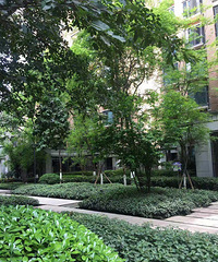 �������140ƽ��ʵ���ɵ��¼�