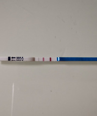 37����侭��һ�����ĸ��µ�Ŭ���������ˣ��ж�