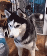 �̶������������Ҫ�����Լ�