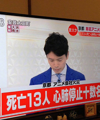 ��������������Ϊ�ݻ���13������