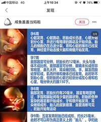 1-40��̥��������ϸ���̣���ɫ3Dͼ�棬������������