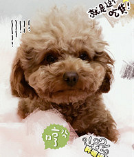 ����Ը��������ֻ̩����