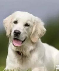 ��������㣬���к��ڼ������