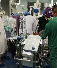 ��������ֹͣ5��Сʱ��һֻ���Ѽ���̤�����Źأ����桰���