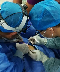 ��������ֹͣ5��Сʱ��һֻ���Ѽ���̤�����Źأ����桰���