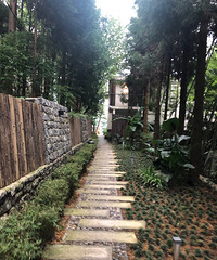 黑山谷森林里的民宿还能看云海,静谧的环境配上烛光晚餐好浪漫