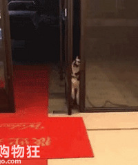 ���飬�ұ���ס��������