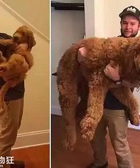 �еĹ����������žͳ�����