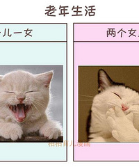 Ϊʲô������Ů���ȡ�һ��һŮ���ã���4�������޷�����