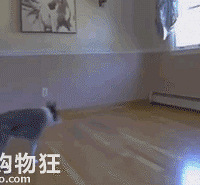 ��ɳ���˾�Ȼ�������ң�