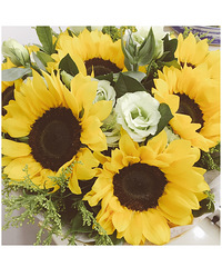 ̥ͣһ����������Ӱ�ˣ����Ƽ���������ǰ���ȽϺã�