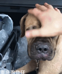 ����200����ֻΪ�ؼ�