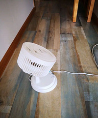 ��һ�����յ�̫�����ˣ����������˺��õĿ���ѭ����